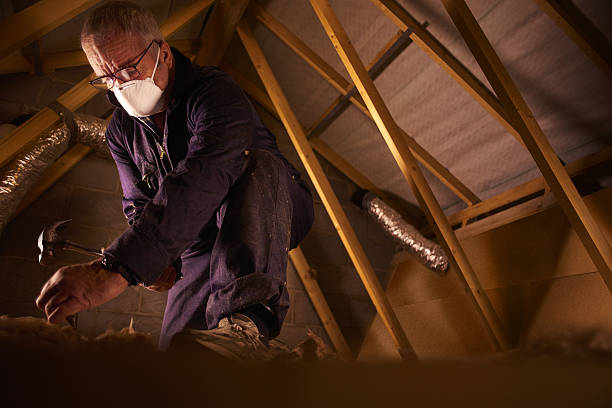 Best Cellulose Insulation in Grissom Af, IN